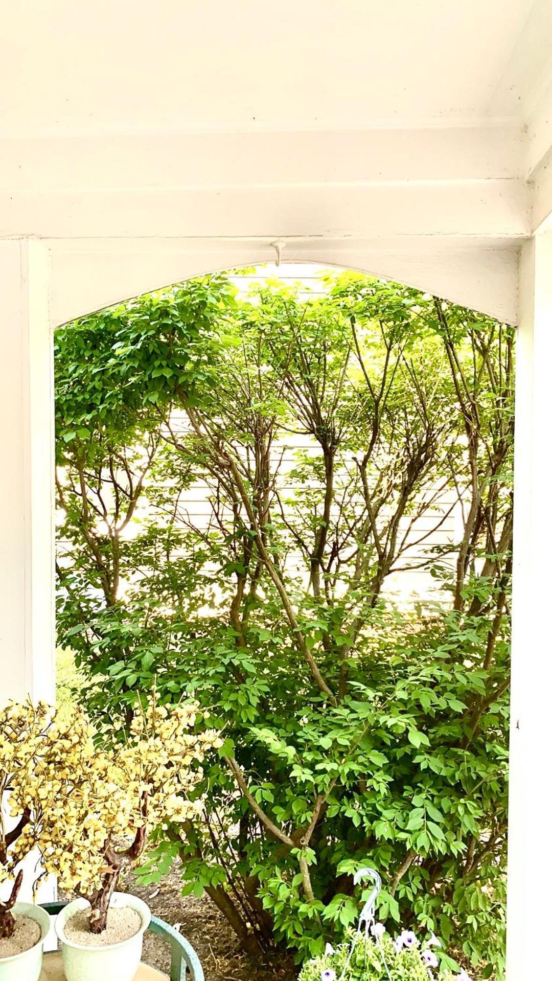 B3 A Private Room In Naperville Downtown With Desk And Wi-Fi Near Everything Екстер'єр фото